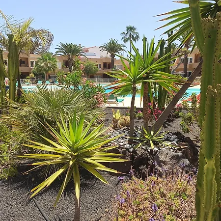 Laspalmasapartment Apartment